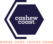 Cashew Coast
