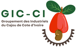 GIC-CI